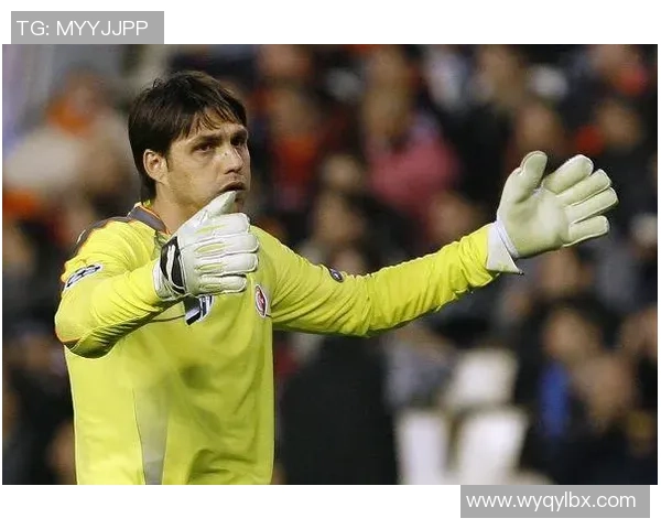 门神维卡里奥神勇八扑两解围满分十分力保球门不失